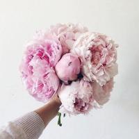AnLove