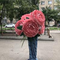 Замина