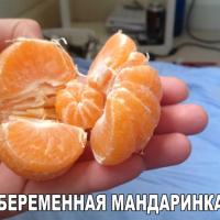 dasha-ya
