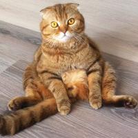 Анна 