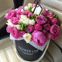 Flower Girl