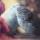aminka_18_