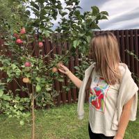 Любимка