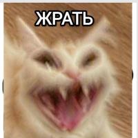 ang