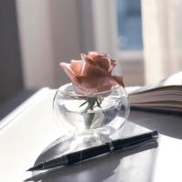 Аида Гераева