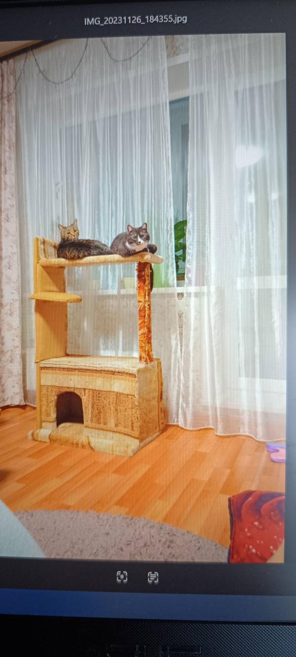post image 4