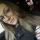 dailid.olga