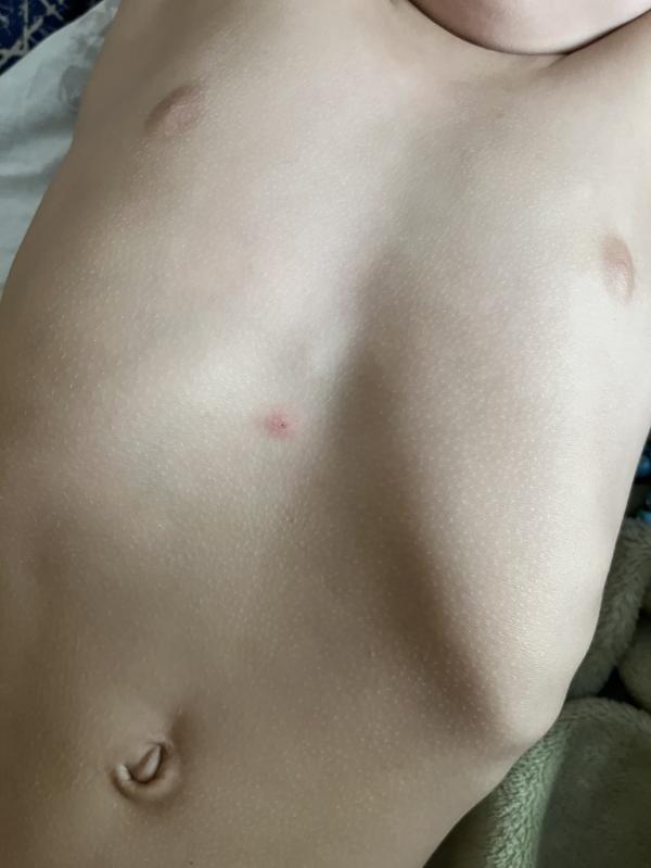 post image 4