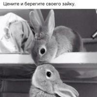 Анетт