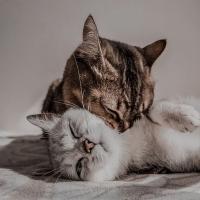 Александра