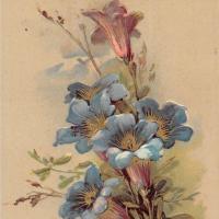 Ульяна