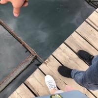 Патюля