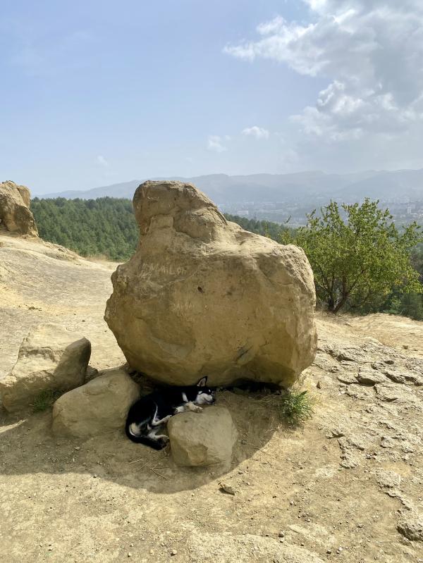 post image 4