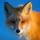 fox_54