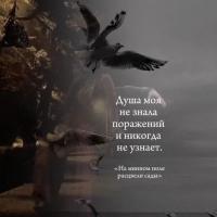  Лейла