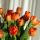 fati_6