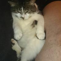 abby