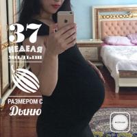 mamaamakriminal