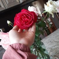 Маликат