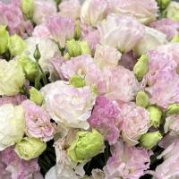 🧚🏻‍♀️🧚🏻‍♀️🧚🏻‍♀️