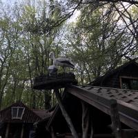 Оля