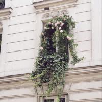 Марина