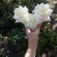 Юлия