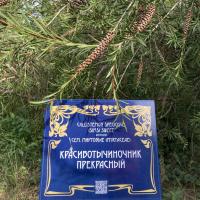 Катерина Васильева