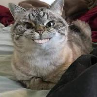  𝓔𝓿𝓪 ツ