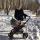 pavlovatn11