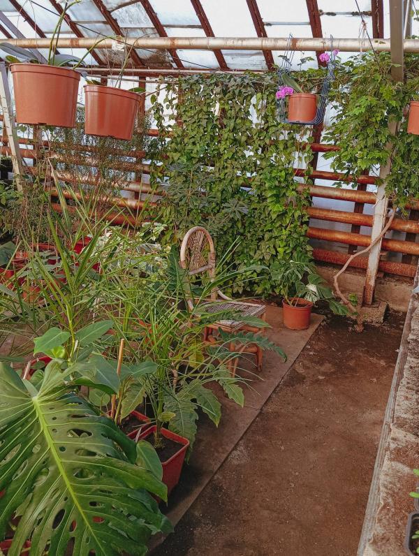 post image 4