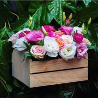 💐Анька💐