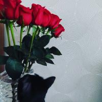 Кристина