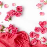 𝓒hipndale   🎀