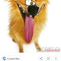 Мария М