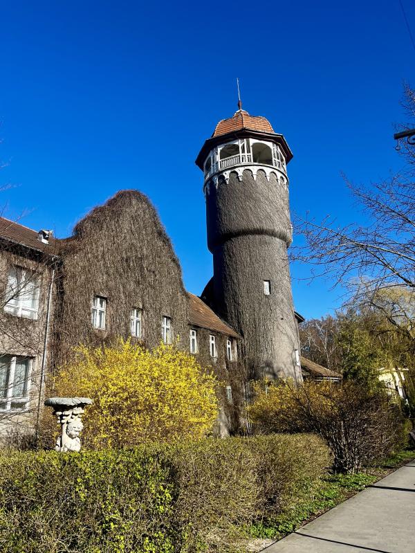 post image 5