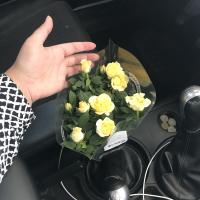 Тася