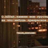 Лиза 787 ------