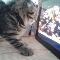 Оксана Олеговна