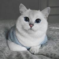 Дарья