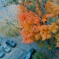 Кактус🌵🌵🌵