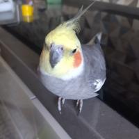 Марина