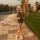 dasha_xp