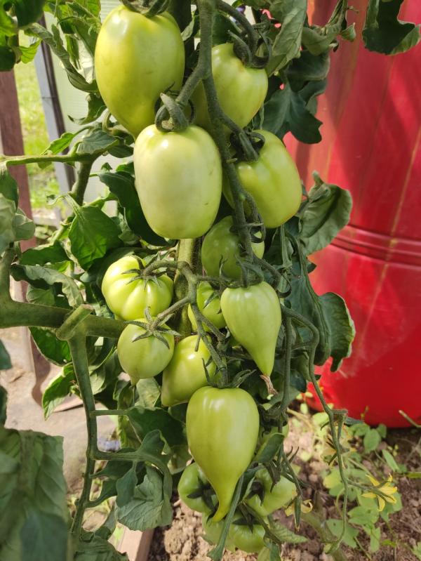 post image 4