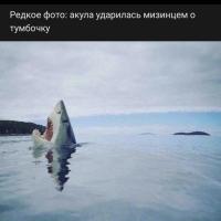 Tanya S