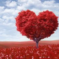 Марьям Умарова 