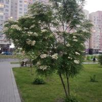 Любовь❤️