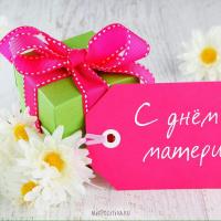 Светлана Рос
