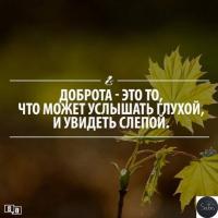  Амелия