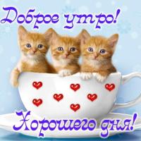 Галина